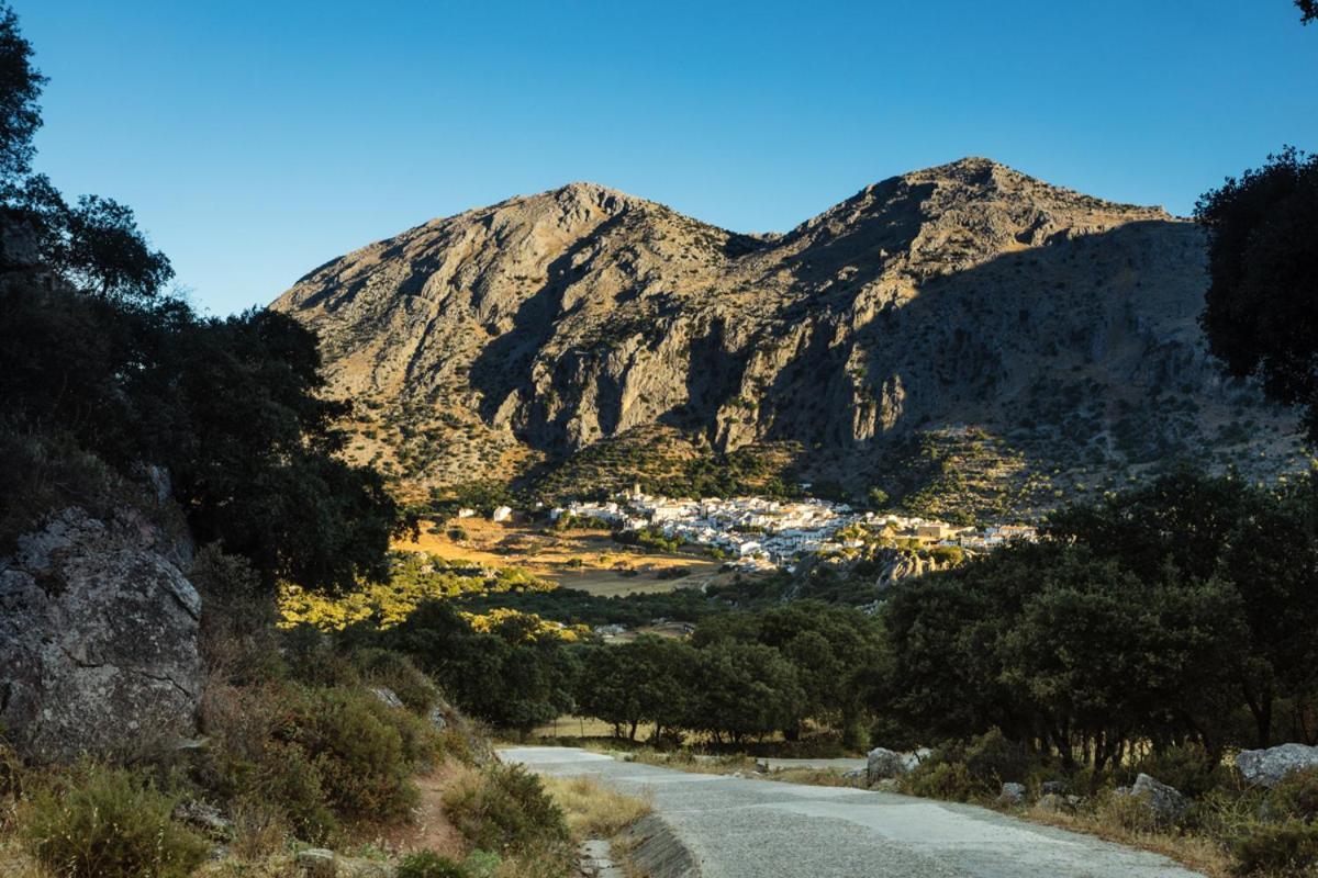 Casa De Los Cuadros Villaluenga Del Rosario Εξωτερικό φωτογραφία