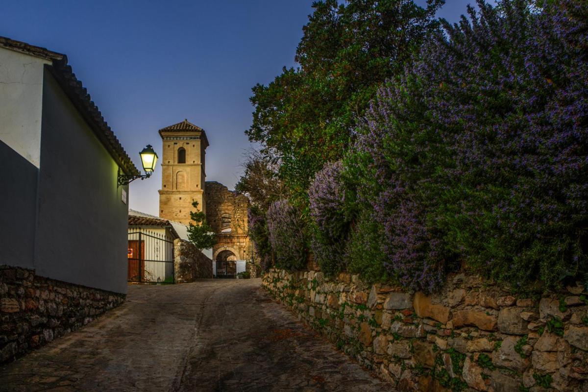 Casa De Los Cuadros Villaluenga Del Rosario Εξωτερικό φωτογραφία
